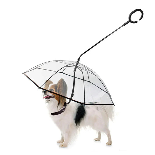 Dog Umbrella.